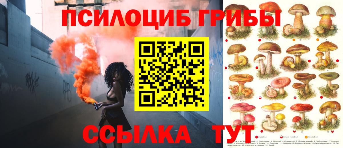 Тамбов  Галлюциногенные грибы прущие грибы  Вход с VPN 