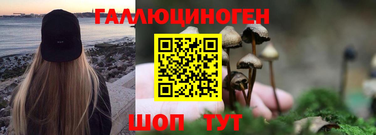 Псилоцибиновые грибы ЛСД Тамбов