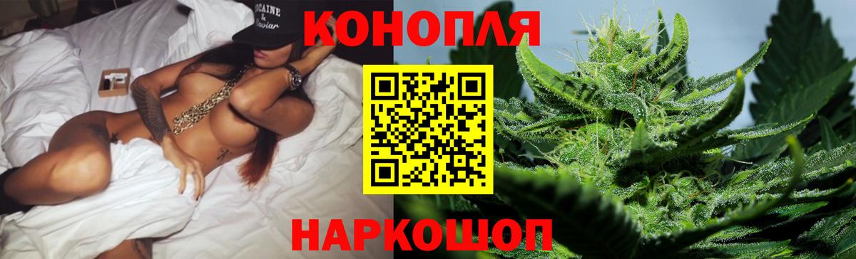 Канабис сатива Тамбов